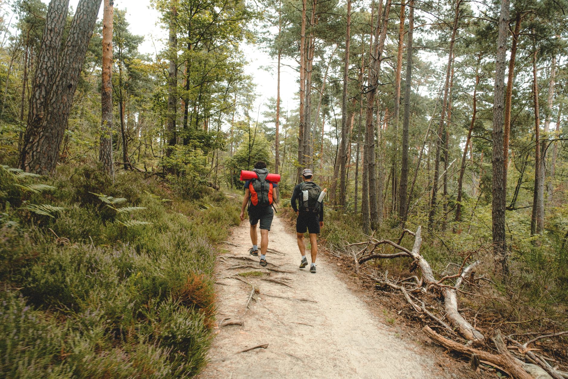 randonnée Ramonville sentier